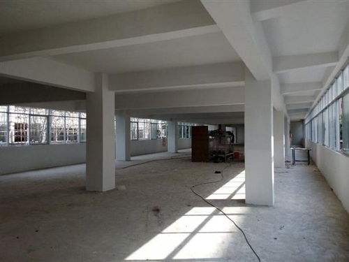 汕尾市工业厂房验厂检测鉴定单位如何出具报告？工程技术服务关键流程详解